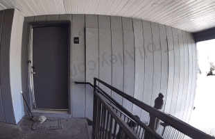 Woman Thought This Was Woman Bending Over For A Man Until She Found Out They Were Both Men And Told Them To Get From In Front Of Her House With That Gay Shii