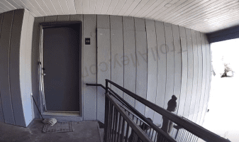 Woman Thought This Was Woman Bending Over For A Man Until She Found Out They Were Both Men And Told Them To Get From In Front Of Her House With That Gay Shii