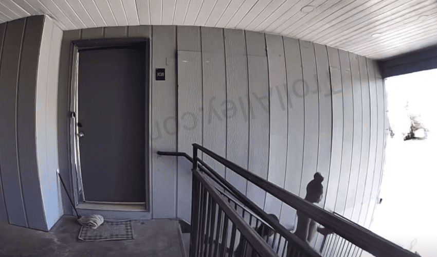 Woman Thought This Was Woman Bending Over For A Man Until She Found Out They Were Both Men And Told Them To Get From In Front Of Her House With That Gay Shii