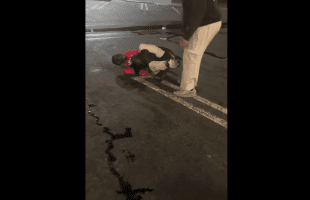 Man Gets His Dog To Attack Another Man After He Pulled Out His Package In Front Of His Girlfriend