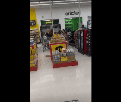 Woman Feared Nobody And Addressed Every Person In The Store After They Came At Her Wrong While Shopping With Her Kids