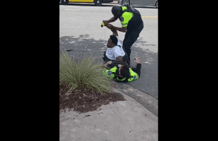 Man Gets Tased By Security After He Went In The Women Restroom Because The Men Restroom Was Broken