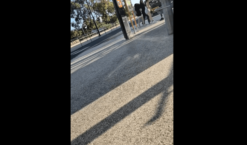 Dude Walked Right Pass Some Girls Getting Handled By A Guy And Didn’t Do Anything But Get On The Bus