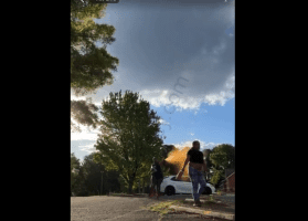 She Lied And Said She Wanted To Throw Hands But Ended Up Sneaking Her With Bear Spray And A Stick When She Pulled Up