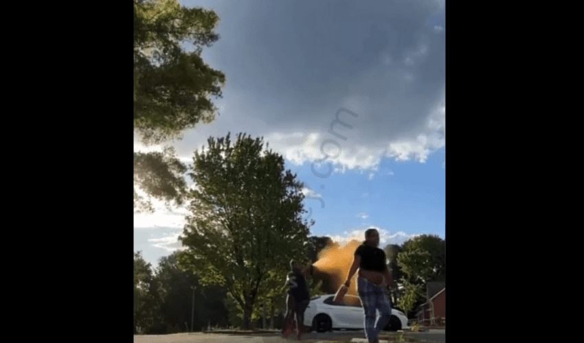 She Lied And Said She Wanted To Throw Hands But Ended Up Sneaking Her With Bear Spray And A Stick When She Pulled Up