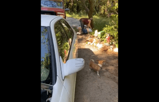 Two Tweakers Going At It In The Woods At Their Trailer Park