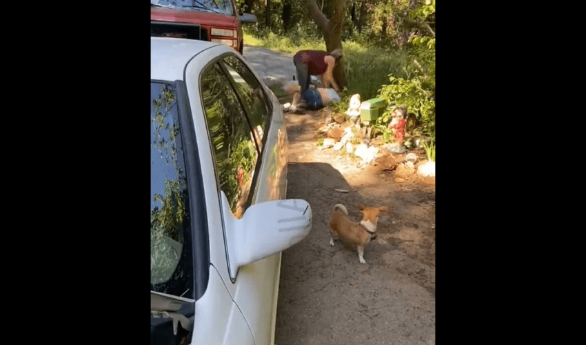 Two Tweakers Going At It In The Woods At Their Trailer Park