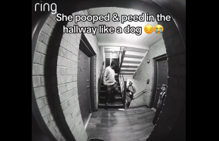 Two Neighbors Goes Off On A Woman After They Caught Her In 4k Taking Shii And Piss By Their Apartment Complex And Tried To Deny It