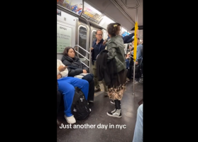 Nobody Did Anything After They Seen A Man Put A Annoying Woman On The Ground On The Train