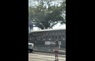 New Orleans Woman Begs Drivers To Run Her Over After She Got Fed Up With Life
