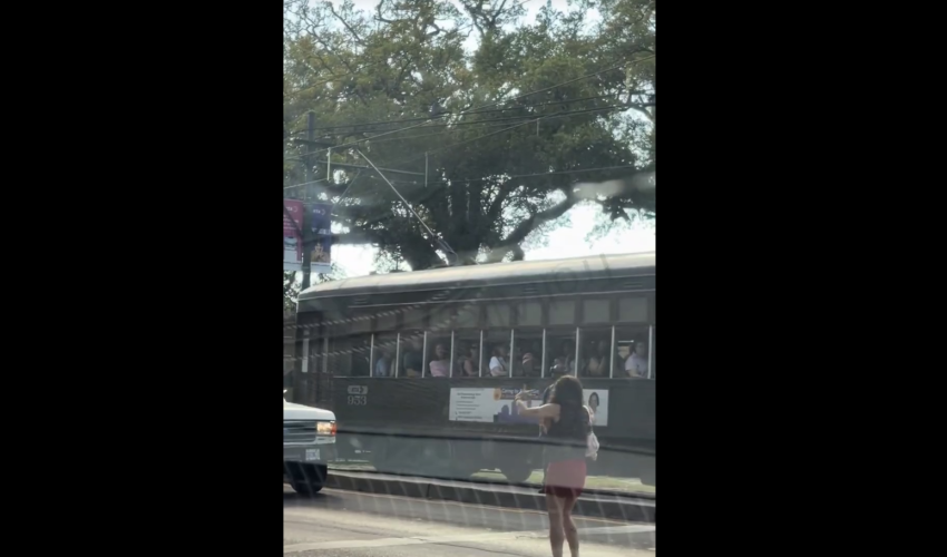 New Orleans Woman Begs Drivers To Run Her Over After She Got Fed Up With Life