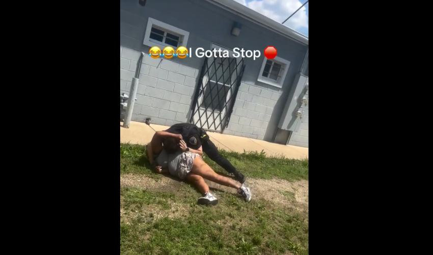 Bystander Told A Police Officer Not To Hit A Woman After She Swung On Him First
