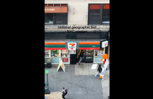 7 Eleven Employees Vs A Customer In New York