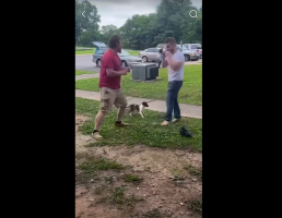 Dude Gets Knocked Out 5 Times In The Same Row