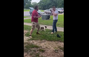 Dude Gets Knocked Out 5 Times In The Same Row