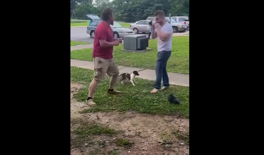 Dude Gets Knocked Out 5 Times In The Same Row
