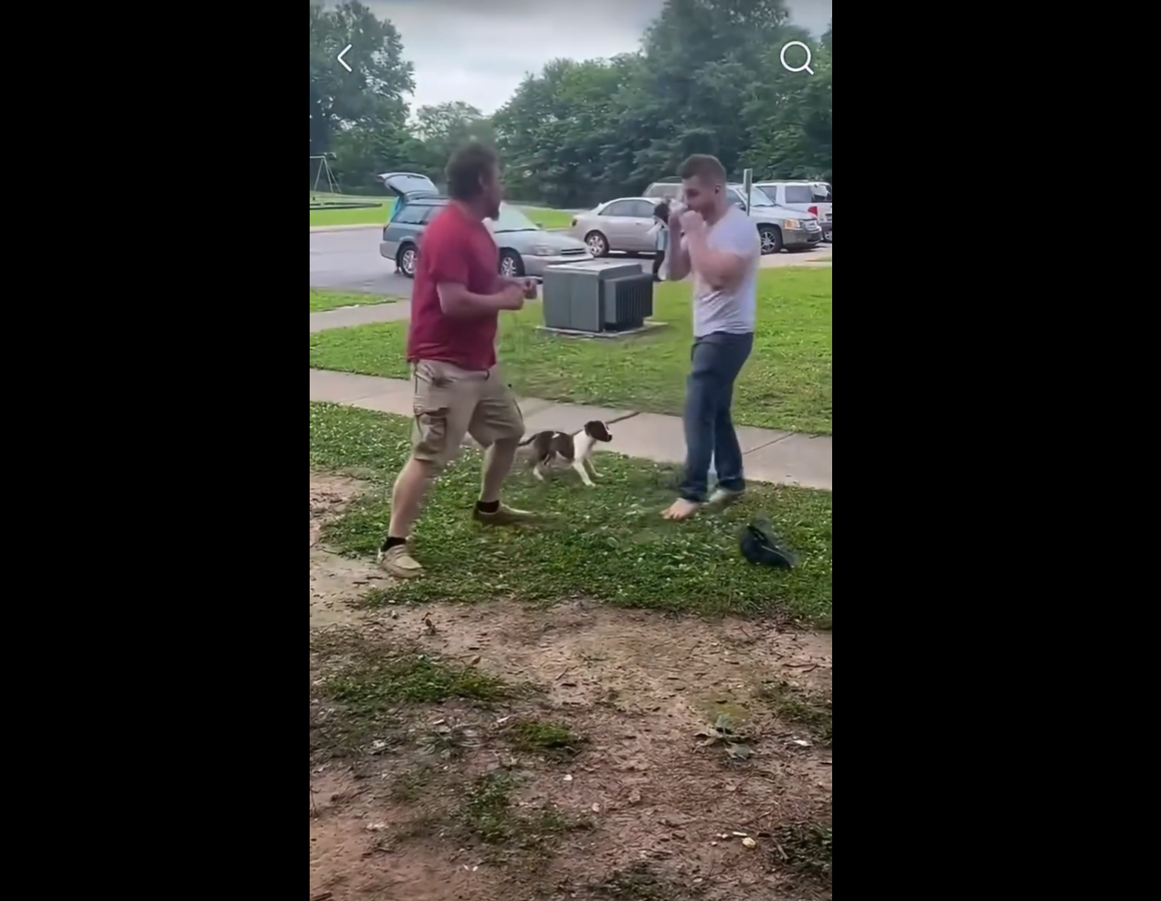 video