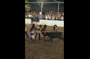 Group Of Girls Tried To Take Down A Bull But Gets Knocked Down