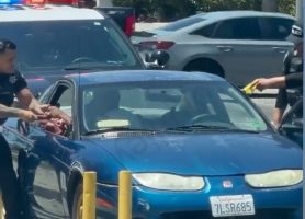 California Police Officers Are Different