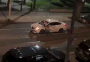 She Thought She Could Take On A Car And It Didn’t Went As Planned