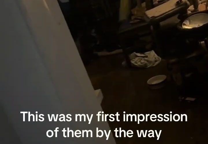 Girl Caught Went Over A Random Person House And Seen Somebody Sister And Brother In A Serious Altercation