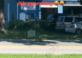 Big Turtle Didn’t Make It Across The Street
