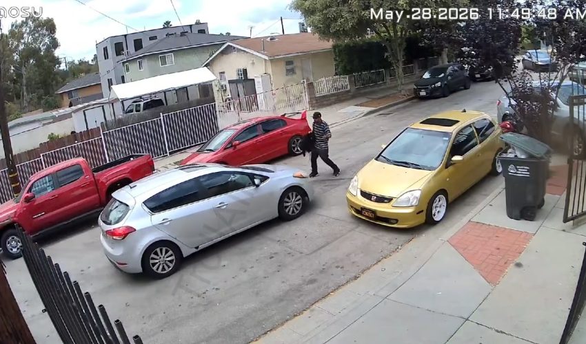 Man Begs His Girl For His EBT Card After She Took It After  She Put Him Out Her Car