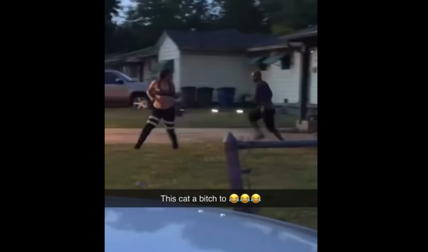 Woman Slung Her Boyfriend Cat Because She Was Mad At Him And He Instantly Rushed Her