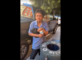 Dude Gets His Lick Back After A Girl Said Something Disrespectful And Tried To Throw Something At Him And Run