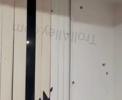 Dude Was Shocked After His Opps Riddled His House With Bullets While Playing The Game
