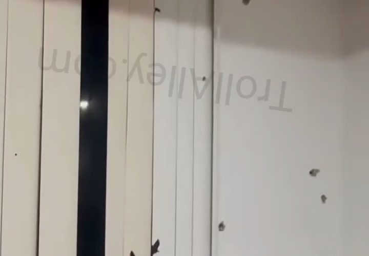 Dude Was Shocked After His Opps Riddled His House With Bullets While Playing The Game