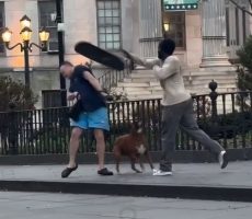 Dog Owner Learns His Lesson After Letting His Dog Off The Leash At The Skate Park And The Skaters Was Not Happy