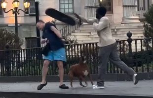 Dog Owner Learns His Lesson After Letting His Dog Off The Leash At The Skate Park And The Skaters Was Not Happy