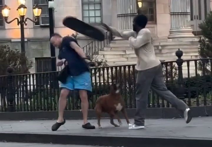 Dog Owner Learns His Lesson After Letting His Dog Off The Leash At The Skate Park And The Skaters Was Not Happy