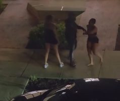 This Will Be Her Last Day Putting Hands On A Man
