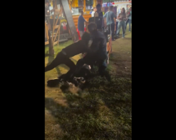 Dude Tackled The Police To Protect His Friend From Getting Arrested And This How It Ended For Him