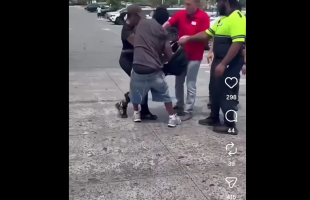 Target Employees Stop Mother And Father From Tuggling Their Child In The Parking Lot Over Visitation Hours