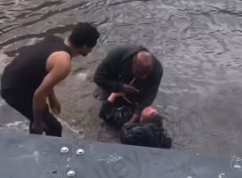 Woman Gets Thrown In The Water And Handled By A Man After She Kept Harassing Him