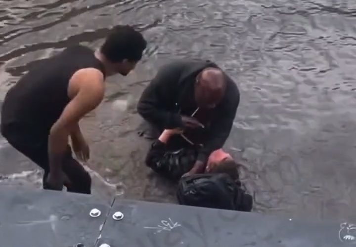 Woman Gets Thrown In The Water And Handled By A Man After She Kept Harassing Him