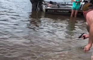 Dude Had A Difficult Time Trying To Take Out A Big Gar Fish With A Hi Point