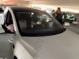 Two People Tried To Dragged A Person Out A Tesla And It Didn’t End Well