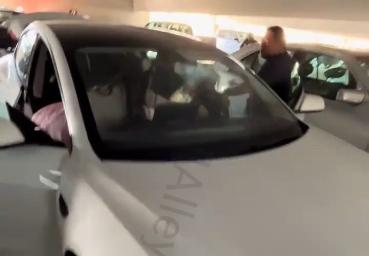 Two People Tried To Dragged A Person Out A Tesla And It Didn’t End Well