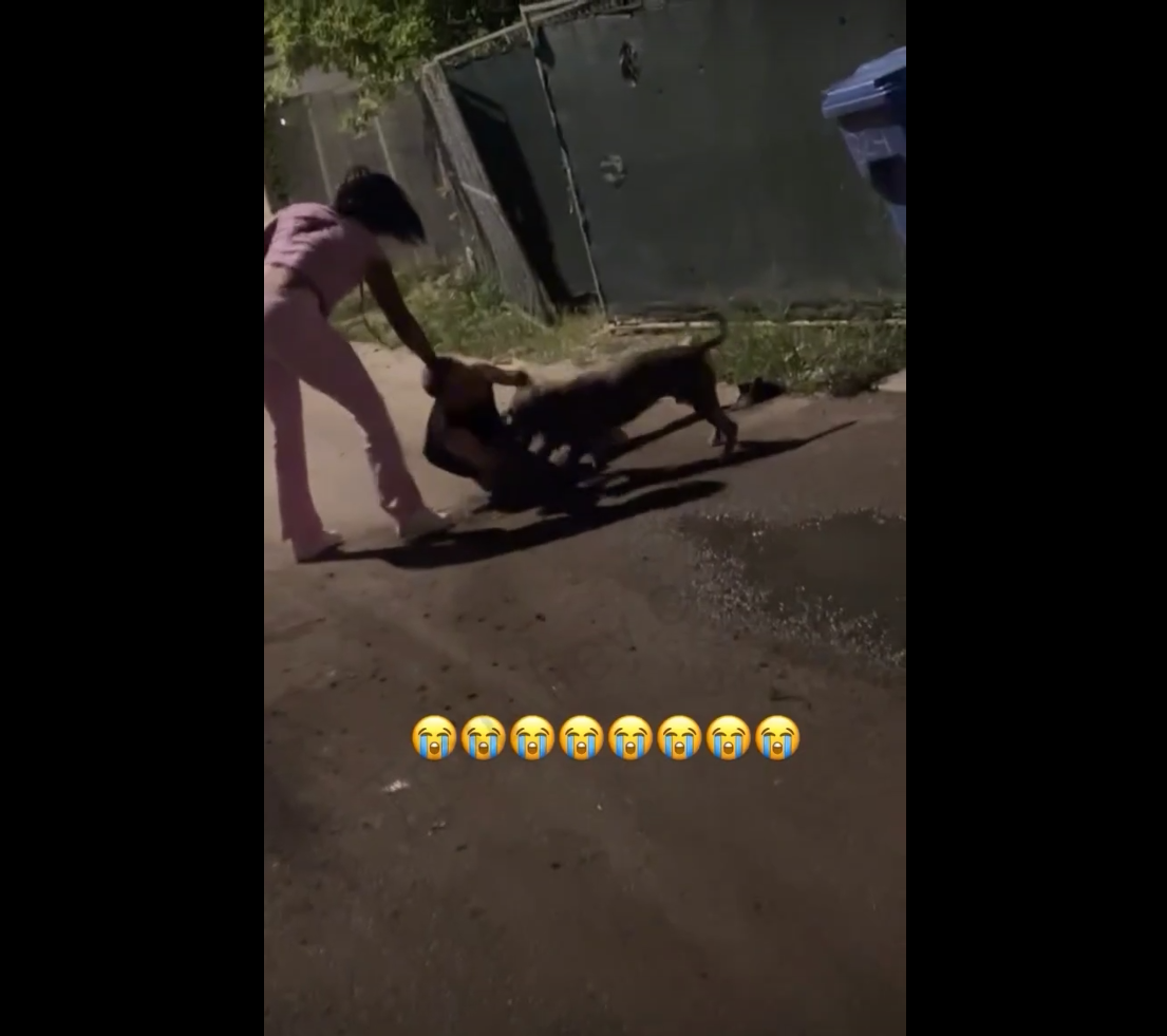 video