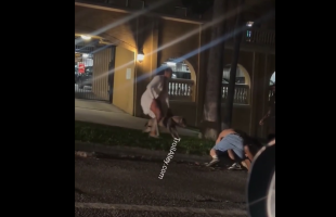 Woman Refused To Release Her Husband Trained Dog After He Was Getting Handled By A Man That Was Bigger Than Him