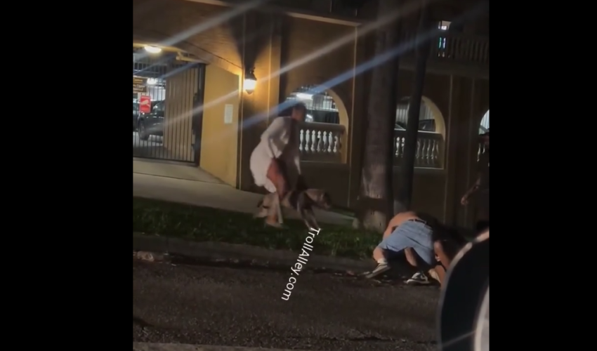 Woman Refused To Release Her Husband Trained Dog After He Was Getting Handled By A Man That Was Bigger Than Him