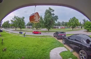 Dude Gets Shot At After He Told A Car To Move Out The Bike Lane