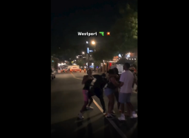 Rookie Cops In Training Just Caused A Big Scene By Firing His Weapon While Trying To Save His Partner From Getting Hands Put On Him