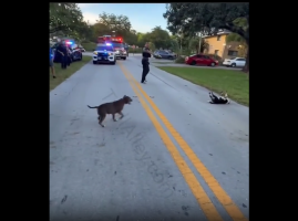 People Was Shocked After Hearing A Dog Make A Weird Sound While Getting Tased By A Police Officer