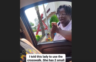 Woman Gets Mad And Hits A Man After He Told Her To Use The Crosswalk With Her 2 Small Children