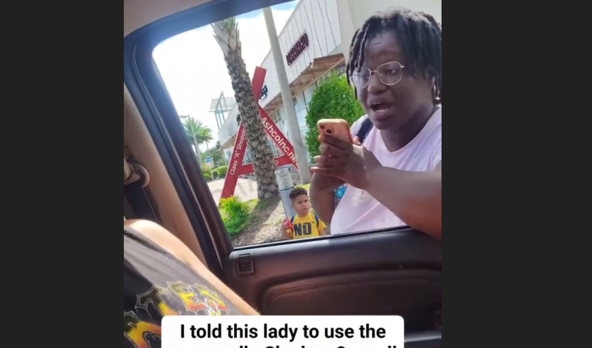 Woman Gets Mad And Hits A Man After He Told Her To Use The Crosswalk With Her 2 Small Children
